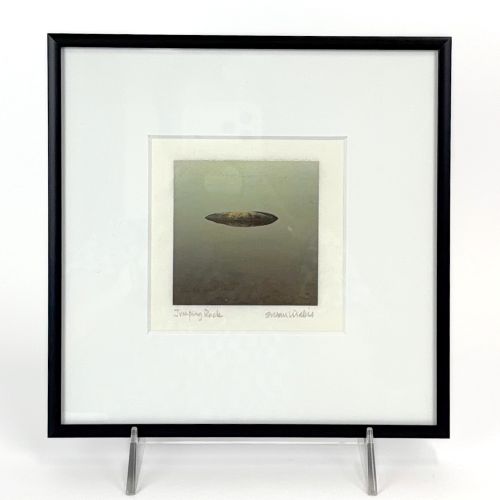 Framed Photograph Jumping Rock