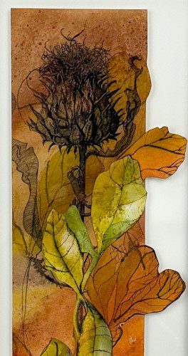 Alternative view of Scatter the Seeds