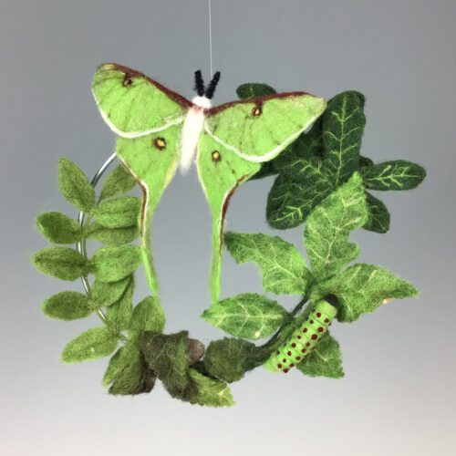 "Luna Moth Life Cycle" Hanging Felted Sculpture