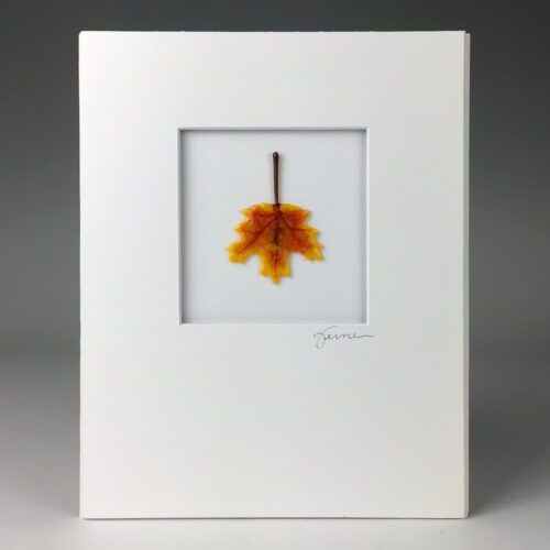 "Golden Test" Matted Fused Glass Leaf
