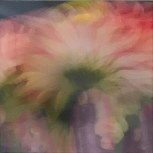 Alternative view of “Dahlia" Framed Photograph