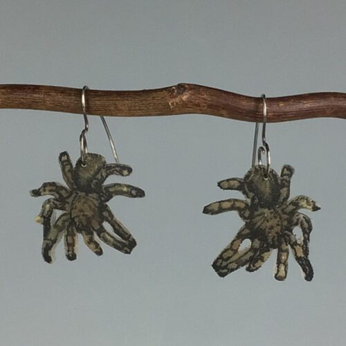 Tarantula Earrings