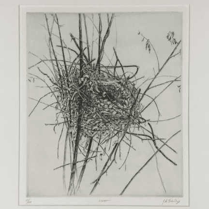 Alternative view of Nest Print