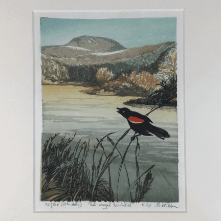 “Red Winged Blackbird" Woodblock Print