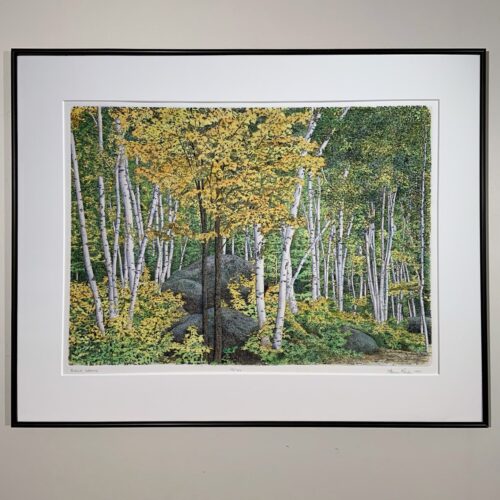"Birch Grove" Etching