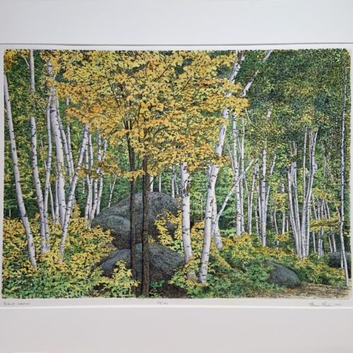 Alternative view of "Birch Grove" Etching