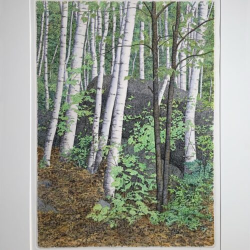 Alternative view of "Maples and Birches" Etching