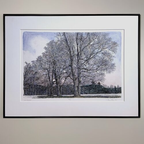 "Old Birches" Etching