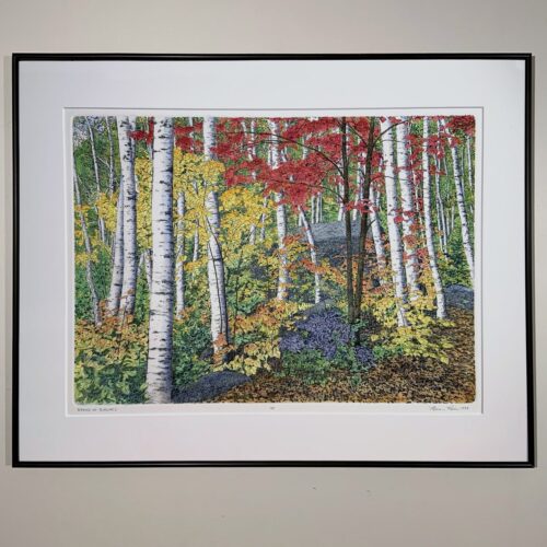 "Stand of Birches" Etching